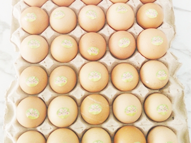 海蘭褐雞 雞蛋